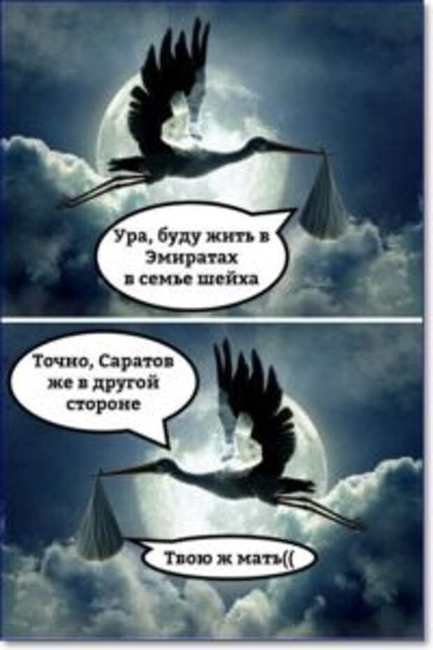 Смешные картинки и мемы с надписями