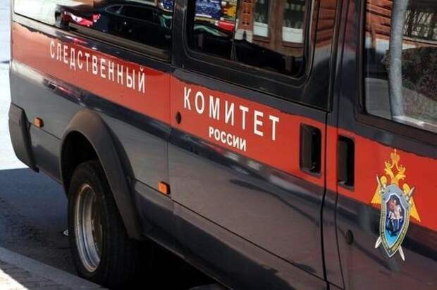 В Туве предотвратили заказное убийство 8-летней девочки. Мачеха «заказала» ребенка из-за двух квартир