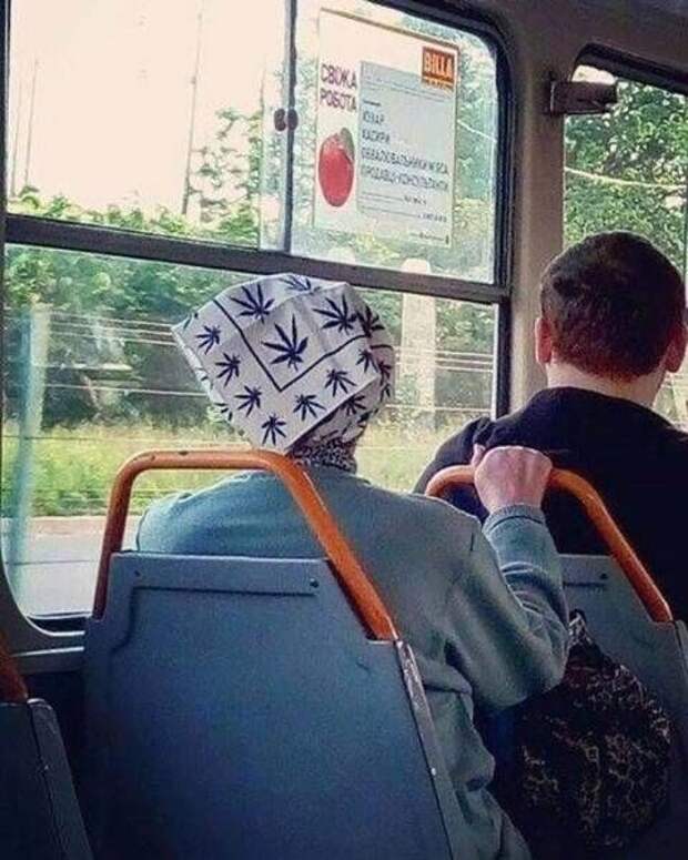 Прикольные картинки
