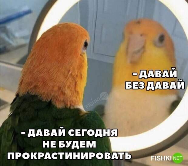 Давай!