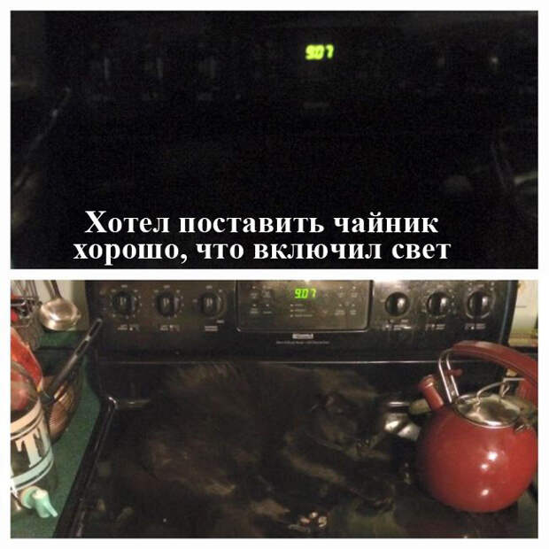 Картинки с надписями мем, прикол, юмор