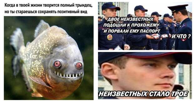 Легкий и непринужденный юмор в картинках Легкий и непринужденный юмор в картинках