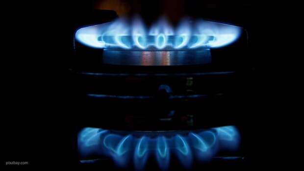 Сенатор Рязанский: нужно уходить от газовых к электрическим плитам и снижать их стоимость