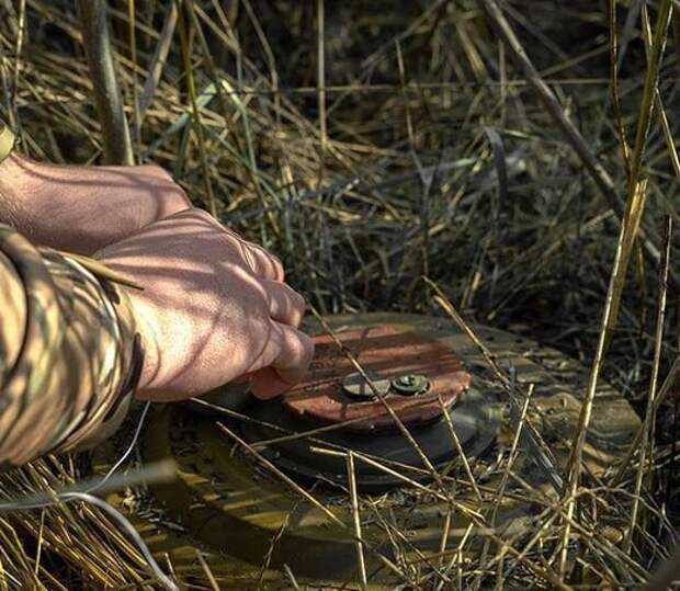 ❌С этого дня Литва официально вышла из Конвенции о противопехотных минах