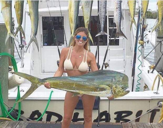 Прикольные картинки. Вечерний выпуск (53 фото)