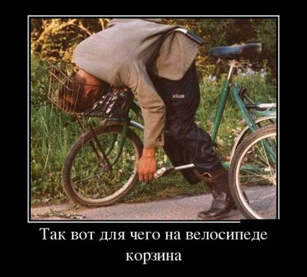 Подборка веселых демотиваторов на выходные (11 фото) Подборка веселых демотиваторов на выходные (11 фото)