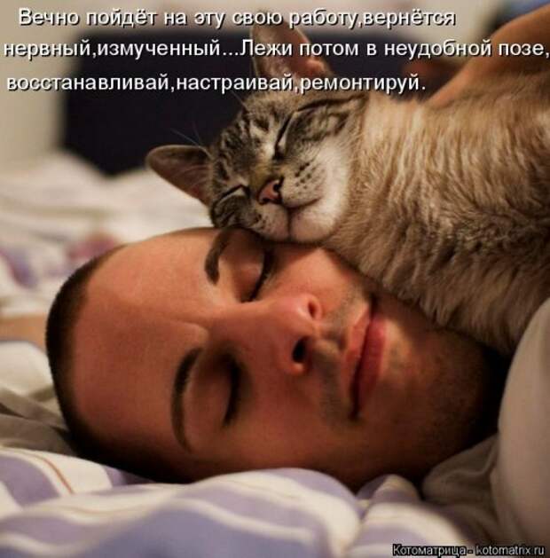 Свежая котоматрица (33 фото)