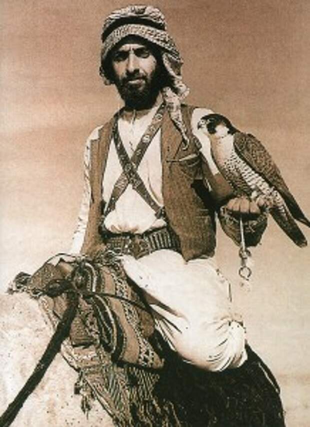 Шейх бедуин