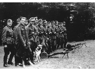 Ликбез: 14 октября - фальшивый день создания УПА