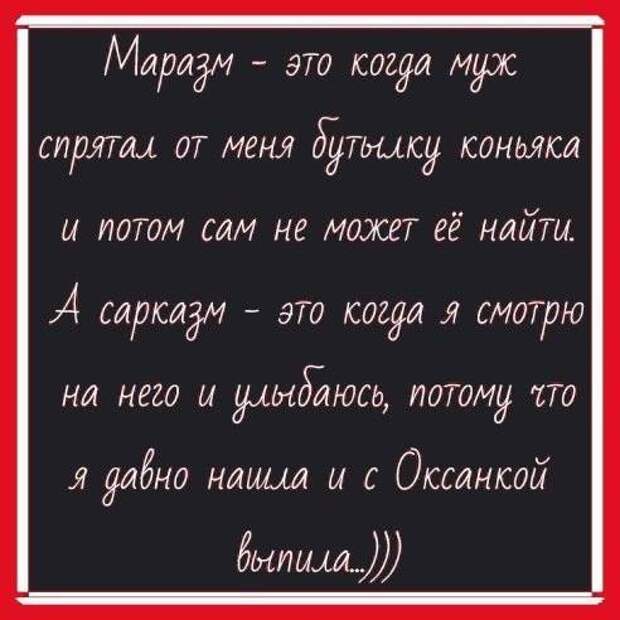 20 классных анекдотов и шуточек и всяких забавностей в картинках для чудесного настроения