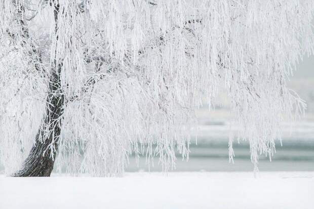 Снежный январь. Фото: pixabay.com