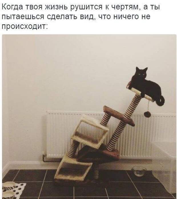 Прикольные картинки с надписями для настроения (11 фото) Прикольные картинки с надписями для настроения (11 фото)