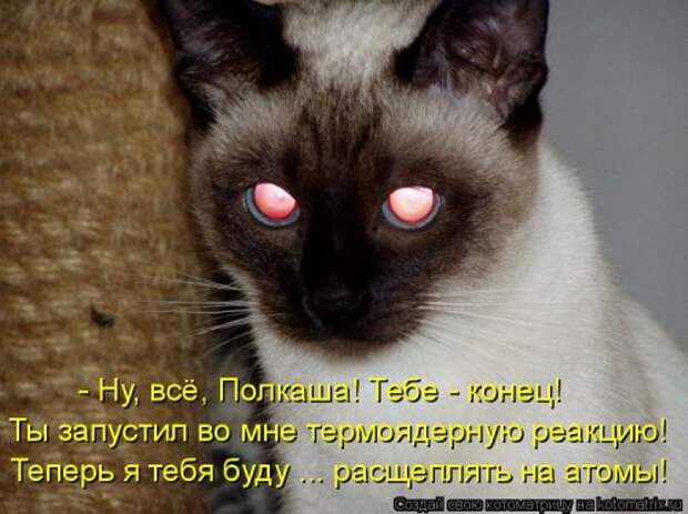 Свежая котоматрица на Бугаге (37 фото)