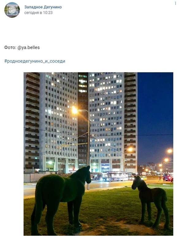 Фото дня: Коровинские лошадки
