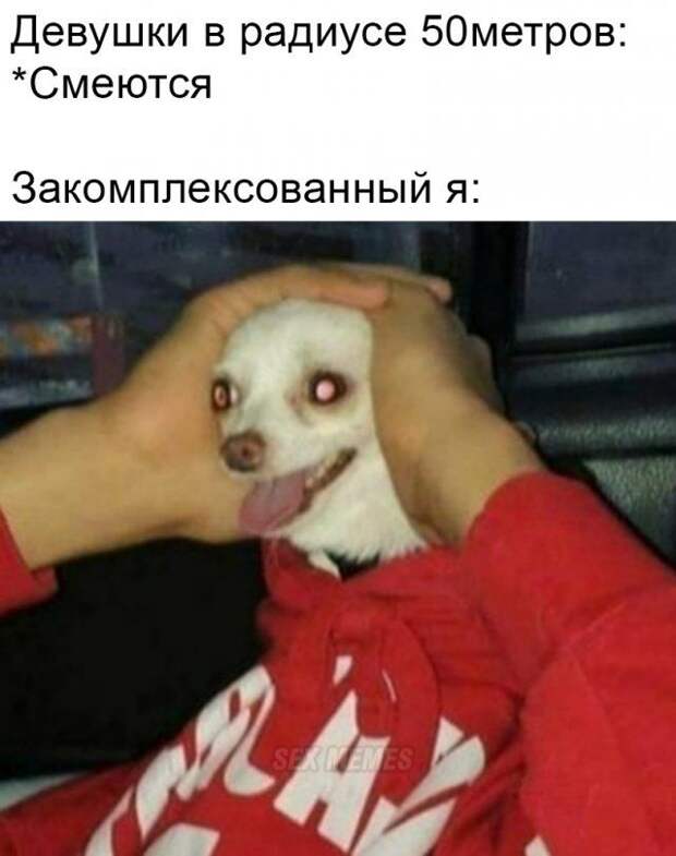 prikoly-memy-citaty-vkontakte-vkontakte-smeshnye-statusy
