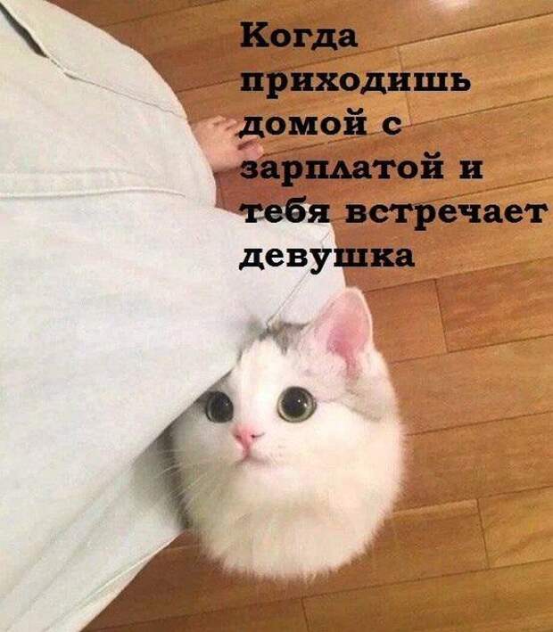 www.vsyako.net