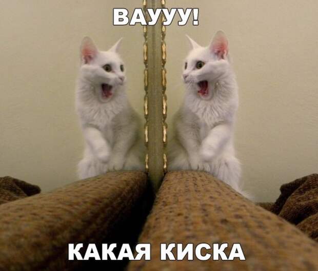 ПОЗИТИВНЫЙ ПОСТ+ 192