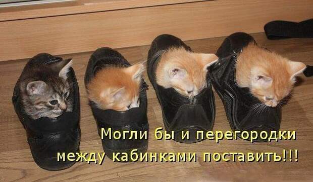 Подборка интересных и смешных картинок