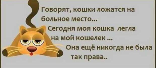 Звонок в дверь.— Я ваш сосед снизу. Мне надоели крики вашей жены по ночам...