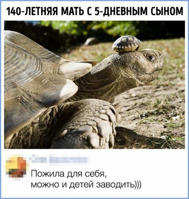 Забавные комменты из социальных сетей (17 фото)