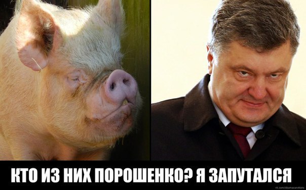 CKS2NnvSCMY.jpg
