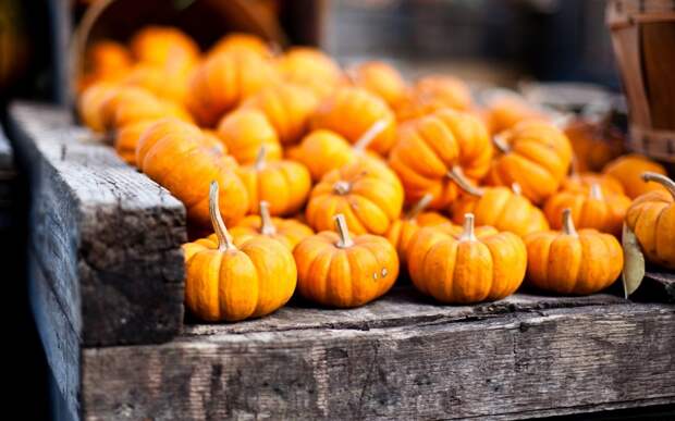 pumpkins-orange-autumn-hd-wallpaper