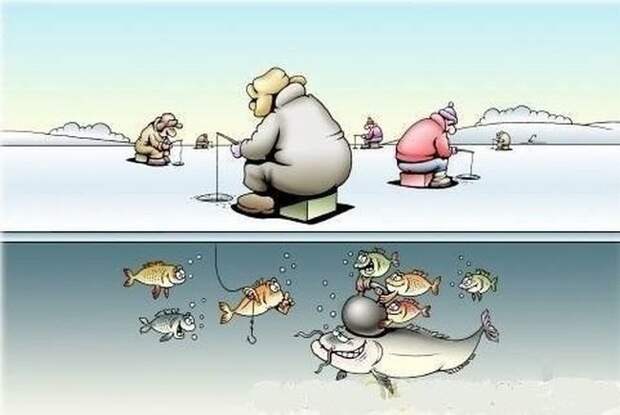 Животный юмор животные в юморе ., карикатуры, рисунки, юмор