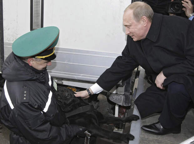20 самых ярких фотографий Путина с животными