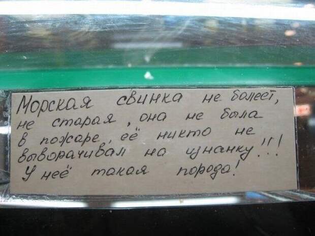 Добро пожаловать в зоопарк!