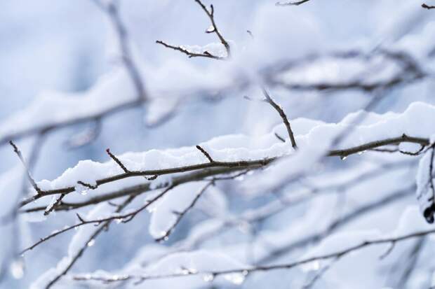 Снегопады 4 марта увеличили время поездок на такси до 30% и сместили вечерний час пик