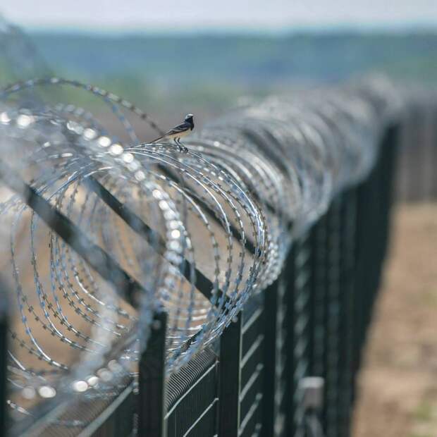 В Киеве заявили о планах строительства стены на границе с РФ В Киеве заявили о планах строительства стены на границе с РФ