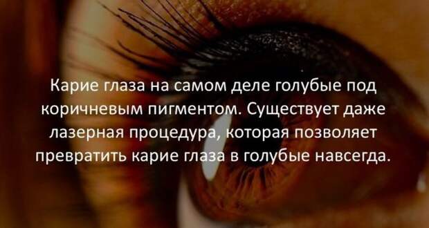 Интересные факты для любознательных (30 картинок)