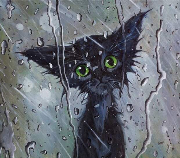 Кошка под дождем | ВКонтакте