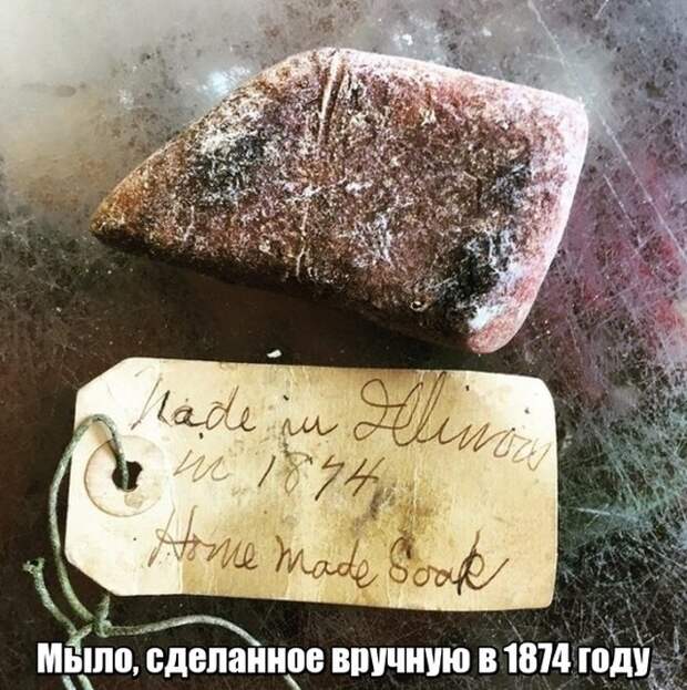 Мир никогда не прекратит удивлять нас Мир никогда не прекратит удивлять нас