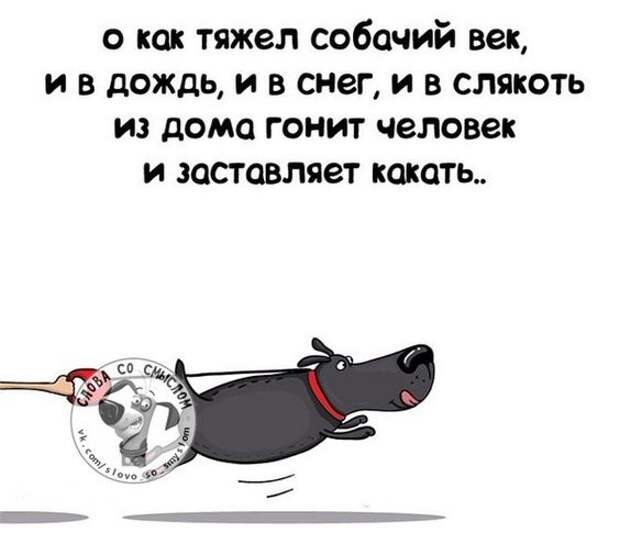 Прикольные фразочки в картинках №14814 » RadioNetPlus.ru развлекательный портал: 
