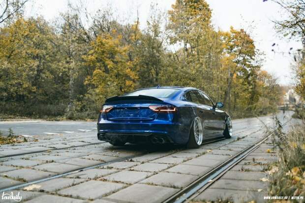 bagged audi a5 sportback 7