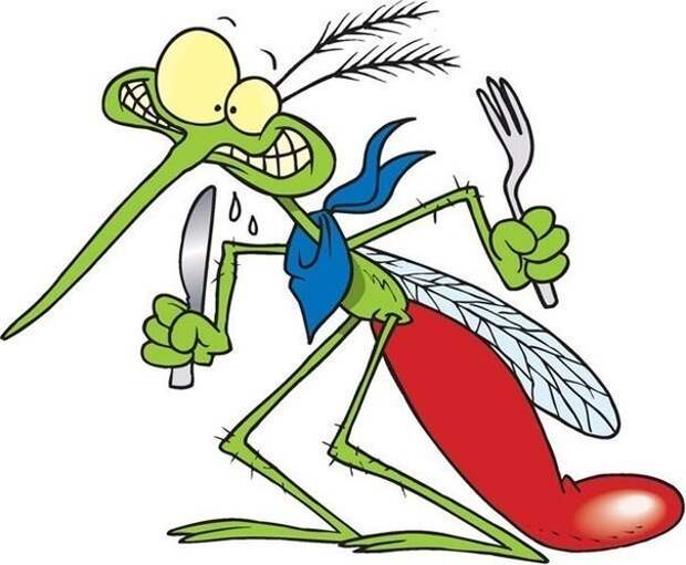 8 убийственных ароматов против комаров сделай сам, средства от комаров, факты