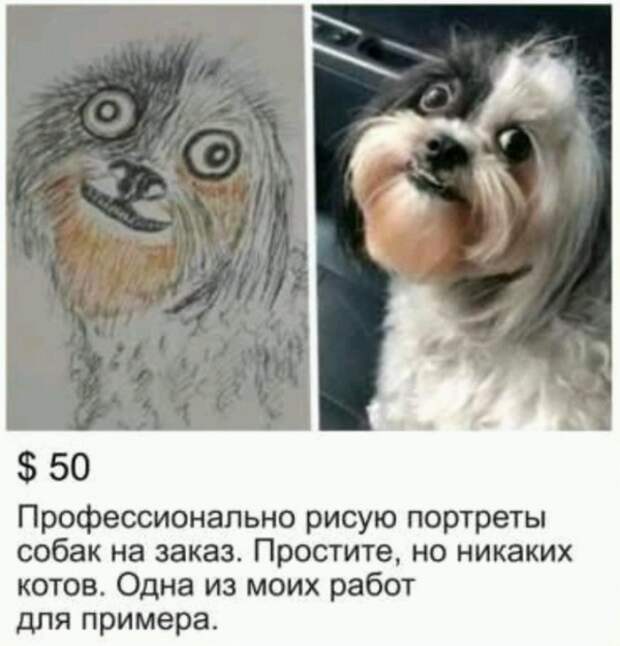 Подборка картинок (20 фото)