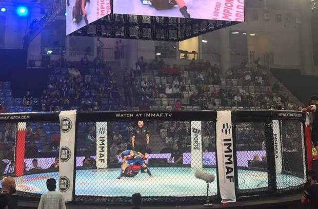 Британская боксерша Хемсли оголила грудь прямо на ринге после победы над Даниэлкой