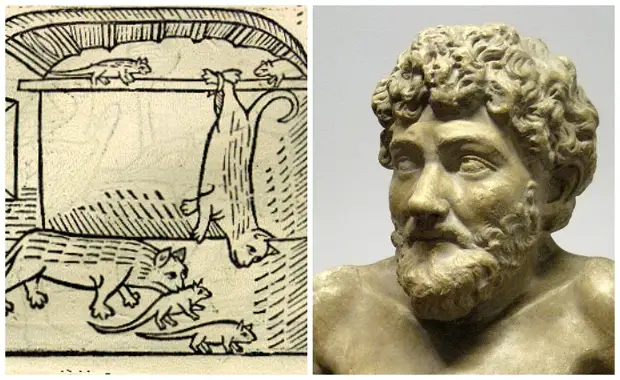 Сколько Эзопов было в реальной жизни и в чем ценность «эзопова языка»