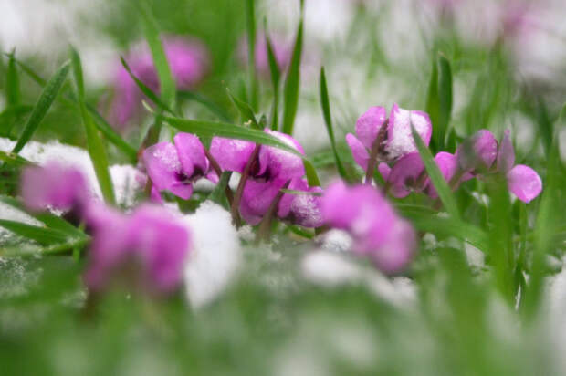 Погода 22 апреля: ночью до +1