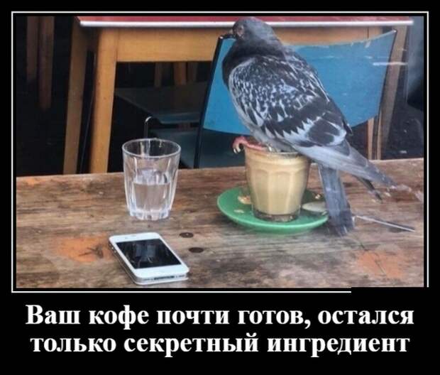 www.vsyako.net
