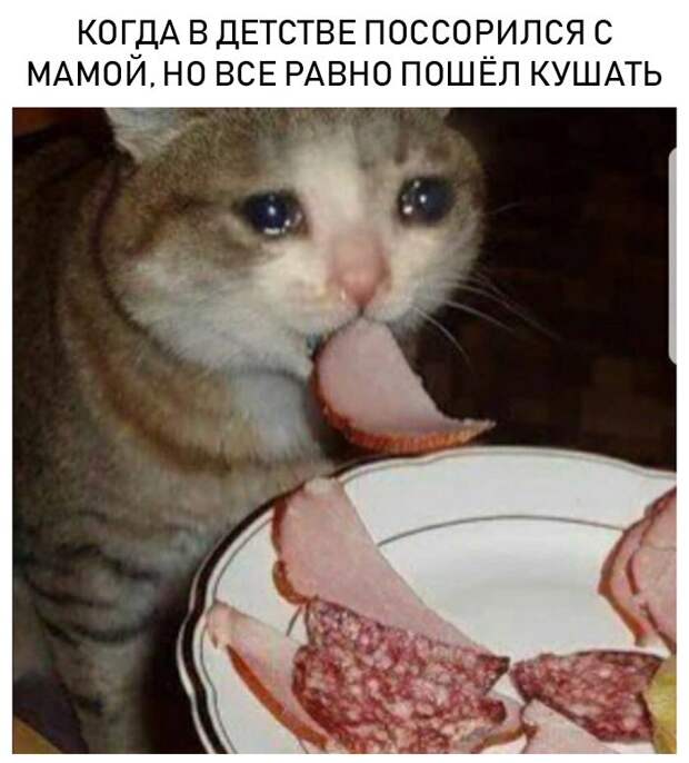 Заплаканный кот