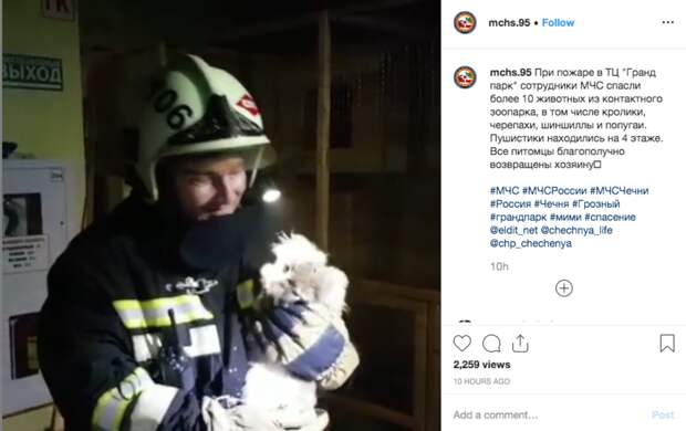 Страшный пожар в ТЦ на ул. Кадырова в Грозном: как спасали контактный зоопарк