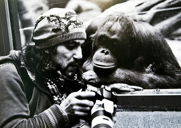 Безумные фотографы