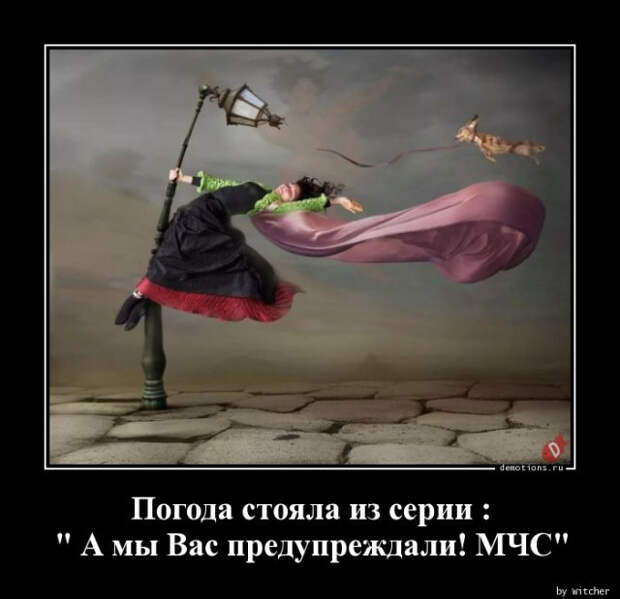 1591339604_demki-6.jpg