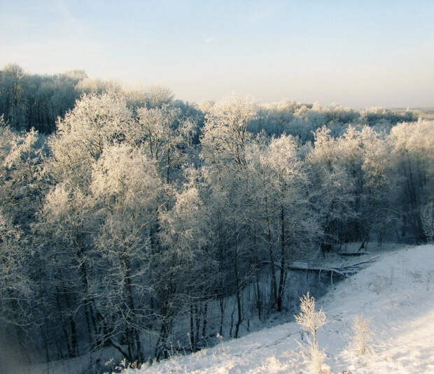Новые правила для охотников Архангельской области: без экзамена нельзя