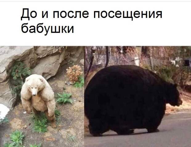 Опять совсем ничего не ешь Опять совсем ничего не ешь