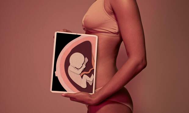 Что происходит с нашими органами во время беременности