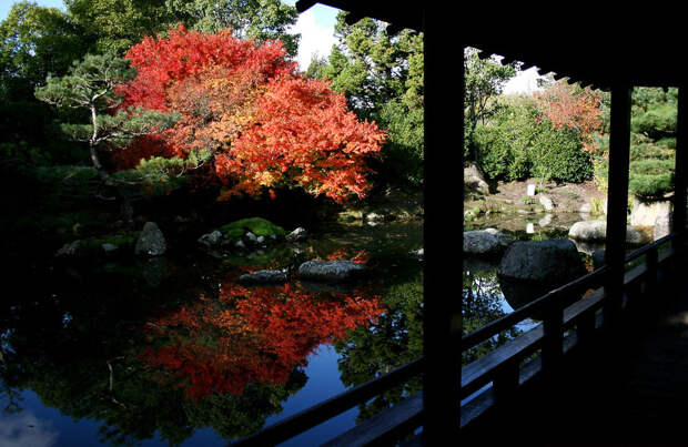 Japanese Garden of Contemplation Japanese Garden of Contemplation